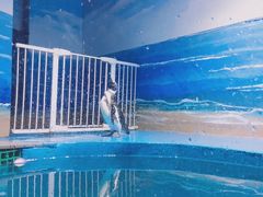-青岛海底世界-水族馆
