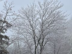 -大明山自然探索公园