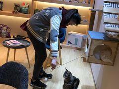 -Pets First伊珊娜洗护·精致美容·家庭式寄养(新会路店)