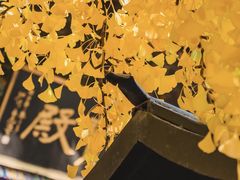 -红螺寺