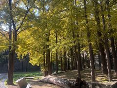 -阳台山自然风景区