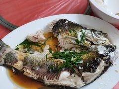 -银峰农庄·特色烧鸡·鲜无花果浸鸡