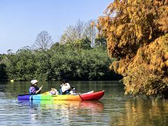 -上海海湾国家森林公园