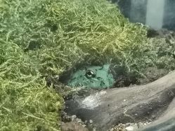 -酷嗒动物文化乐园(cutezoo西溪乐天城店)