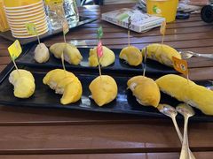 -榴莲BB 四季果园