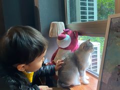 -咖法森林·咖啡  酒吧(天河店)