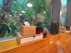-日出拉面(望京店)