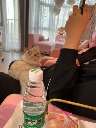 -Beauty Nails 美甲美睫皮肤管理