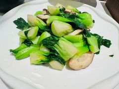 宁夏青菜-清真·宁夏印象·盐池滩羊肉体验店(江宁路店)