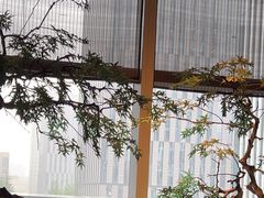 -海立阁海鲜江浙菜(漕河泾印象城店)