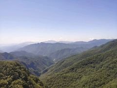 -牛背梁国家森林公园
