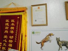 -A猫a狗全科·犬猫异宠·芥西宠物医院(南开总院)