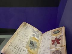 -上海当代艺术博物馆