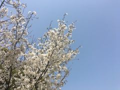 -苏州太湖湖滨国家湿地公园