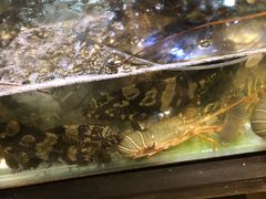 -泰华海鲜中餐厅(普吉镇店)