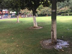 -常州古运河南大街文化旅游区-人民公园