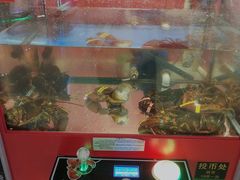 -大玩家(拱墅万达店)