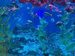 -海合安成都极地海洋公园