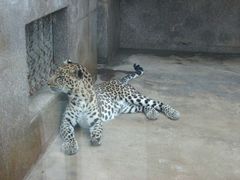 -西安秦岭野生动物园