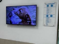-北京观赏动物医院·24小时大型综合·猫专科·异宠专科