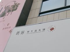 -蘑界·野生菌火锅(深业上城店)