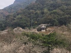 -广州市石门国家森林公园