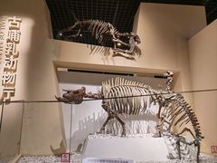 -国家自然博物馆