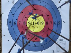 -道顺射箭·团建·骑射(张杨路店)