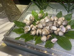 -冀粤香海鲜自助餐厅(西美五洲店)