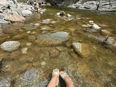 -黑河国家森林公园