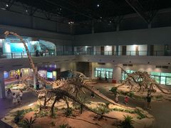 -自贡恐龙博物馆
