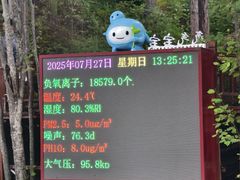 -汤旺河林海奇石景区