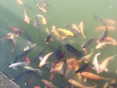 -威海华夏城景区