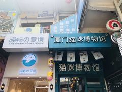 -猫咪博物馆(顶澳仔猫街店)