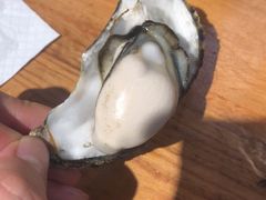 -陈记高压锅鱼头·生蚝