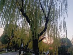 -堤角公园