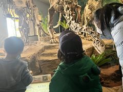 -自贡恐龙博物馆