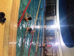 -菲鱼体育恒温游泳馆(中海名城店)