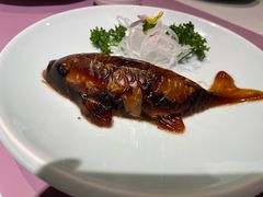 -稍可轩博物馆餐厅