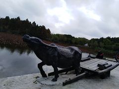 -紫薇公园