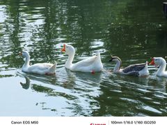 -台州府城(东湖)