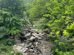 -崂山九水游览区