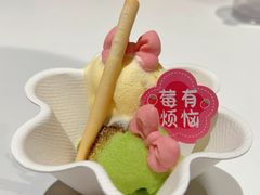 -阿露佳·舌尖上的安吉菜