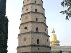 -兴隆文化园景区-兖州博物馆