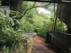 -芦仙山景区-飞越丛林探险乐园