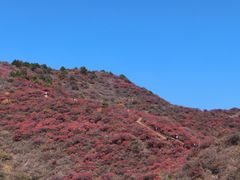 -水峪民俗村