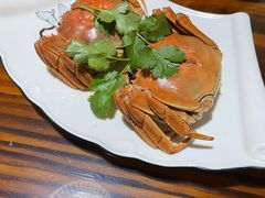 -呼吸森林·生态农庄农家乐私房菜