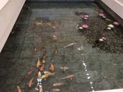 -听松楼-中餐厅.家宴(红梅公园店)
