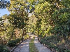 -梧桐山风景名胜区