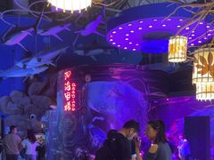 -烟台海昌鲸鲨海洋公园